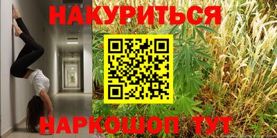 спиды Моздок
