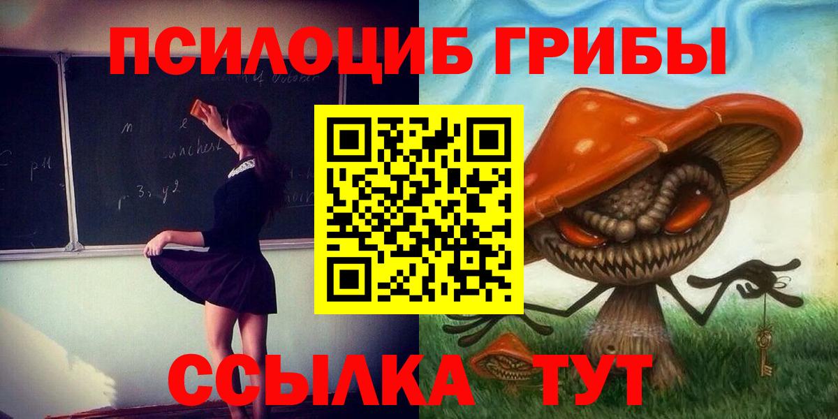 Галлюциногенные грибы Cubensis  Вход с VPN  Новокуйбышевск 