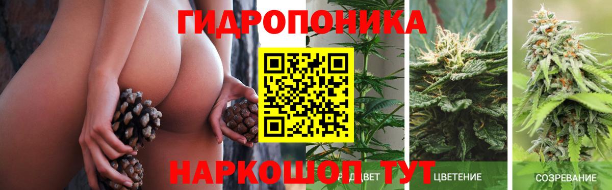 Бошки Шишки VHQ  Конопля White Widow  Марихуана Bruce Banner  Новокуйбышевск  Вход с VPN  Бошки марихуана VHQ 